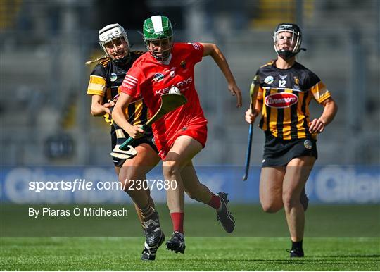 Cork v Kilkenny - Glen Dimplex All-Ireland Senior Camogie Championship Final Cork v Kilkenny - Glen Dimplex All-Ireland Senior Camogie Championship Final