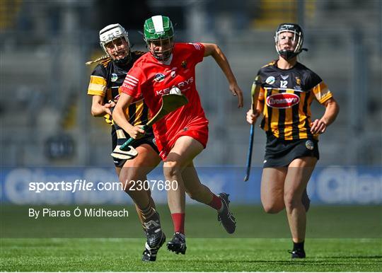 Cork v  Kilkenny - Glen Dimplex All-Ireland Senior Camogie Championship Final