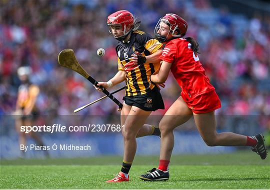 Cork v  Kilkenny - Glen Dimplex All-Ireland Senior Camogie Championship Final