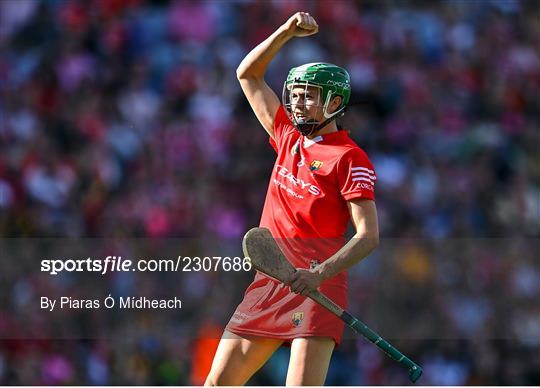 Cork v  Kilkenny - Glen Dimplex All-Ireland Senior Camogie Championship Final