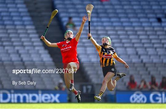 Cork v  Kilkenny - Glen Dimplex All-Ireland Senior Camogie Championship Final