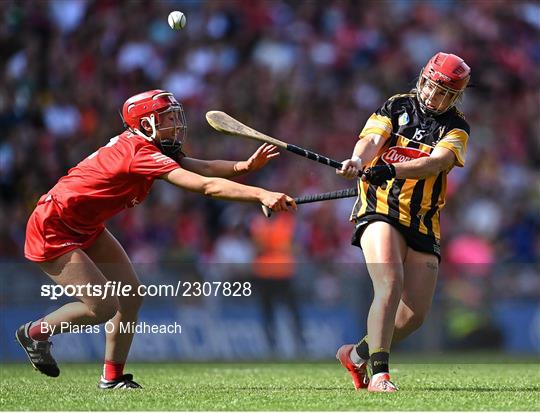 Cork v  Kilkenny - Glen Dimplex All-Ireland Senior Camogie Championship Final