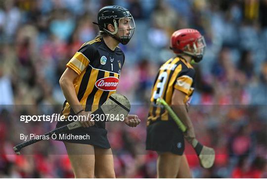 Cork v Kilkenny - Glen Dimplex All-Ireland Senior Camogie Championship Final Cork v Kilkenny - Glen Dimplex All-Ireland Senior Camogie Championship Final
