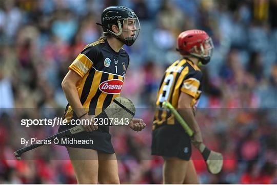 Cork v  Kilkenny - Glen Dimplex All-Ireland Senior Camogie Championship Final