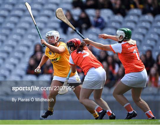 Antrim v Armagh - Glen Dimplex All-Ireland Premier Junior Camogie Championship Final