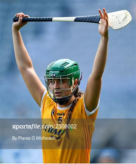 Antrim v Armagh - Glen Dimplex All-Ireland Premier Junior Camogie Championship Final