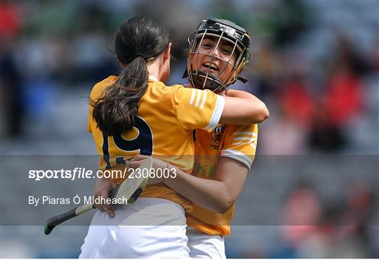 Antrim v Armagh - Glen Dimplex All-Ireland Premier Junior Camogie Championship Final