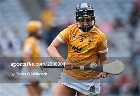 Antrim v Armagh - Glen Dimplex All-Ireland Premier Junior Camogie Championship Final