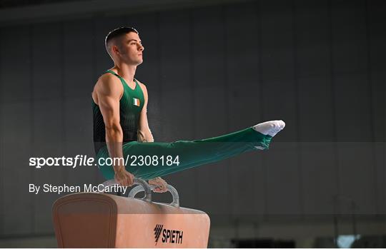 Gymnastics Ireland Men’s Team Ahead of European Championships