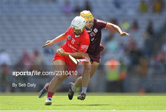 Cork v Galway - Glen Dimplex All-Ireland Intermediate Camogie Championship Final