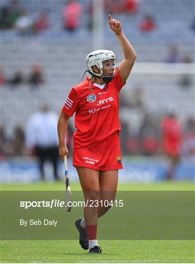 Cork v Galway - Glen Dimplex All-Ireland Intermediate Camogie Championship Final