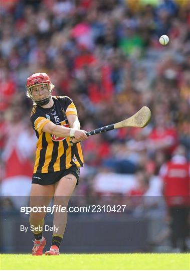 Cork v Kilkenny - Glen Dimplex All-Ireland Senior Camogie Championship Final