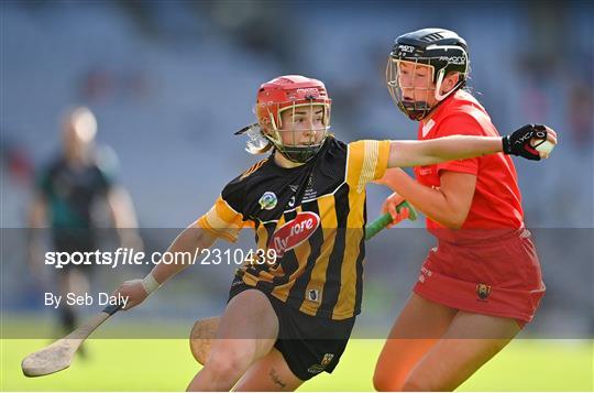 Cork v Kilkenny - Glen Dimplex All-Ireland Senior Camogie Championship Final Cork v Kilkenny - Glen Dimplex All-Ireland Senior Camogie Championship Final