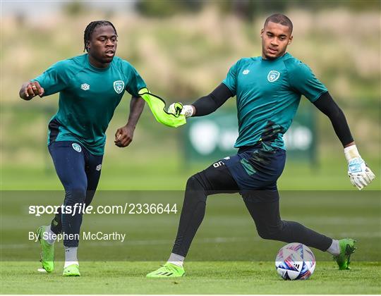 Republic of Ireland Press Conference & Training Session Republic of Ireland Press Conference & Training Session