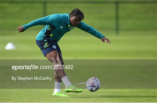 Republic of Ireland Training Session and Press Conference Republic of Ireland Training Session and Press Conference