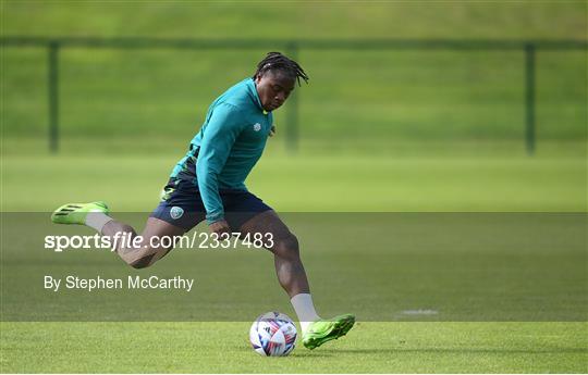 Republic of Ireland Training Session and Press Conference Republic of Ireland Training Session and Press Conference