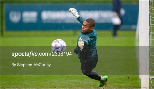 Republic of Ireland Training Session and Press Conference Republic of Ireland Training Session and Press Conference