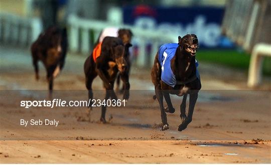 2022 BoyleSports Irish Greyhound Derby