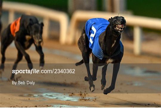 2022 BoyleSports Irish Greyhound Derby