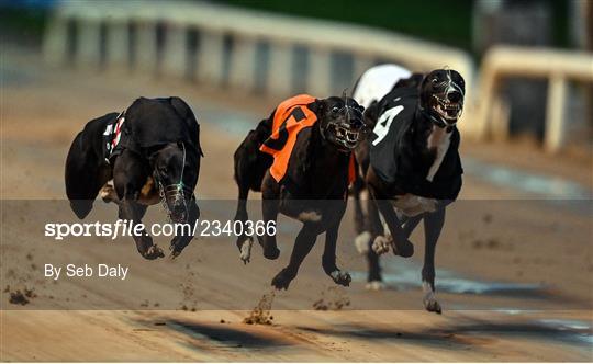 2022 BoyleSports Irish Greyhound Derby 2022 BoyleSports Irish Greyhound Derby