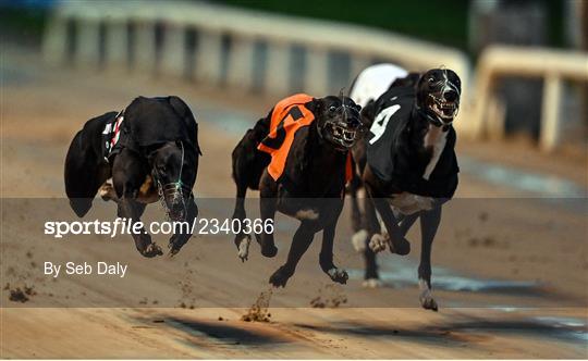 2022 BoyleSports Irish Greyhound Derby