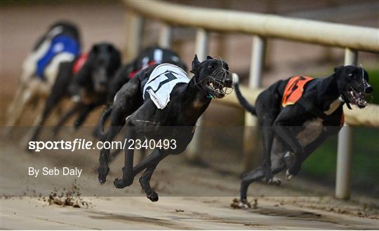 2022 BoyleSports Irish Greyhound Derby