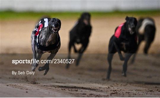 2022 BoyleSports Irish Greyhound Derby