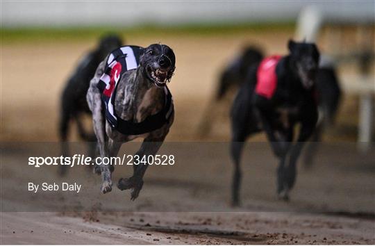 2022 BoyleSports Irish Greyhound Derby 2022 BoyleSports Irish Greyhound Derby