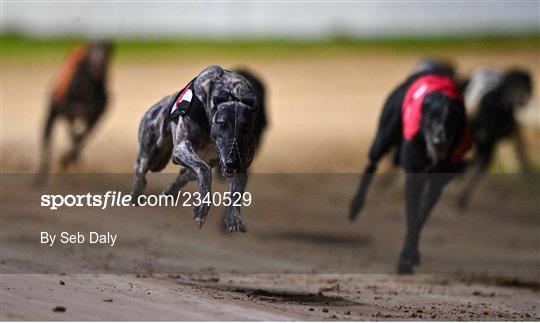 2022 BoyleSports Irish Greyhound Derby