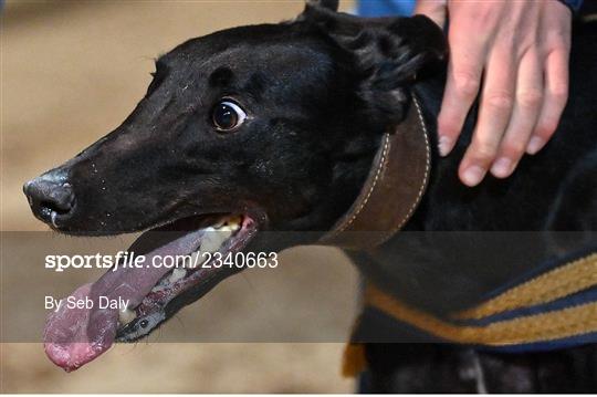 2022 BoyleSports Irish Greyhound Derby