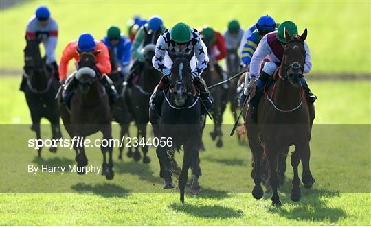 Horse Racing from Bellewstown Horse Racing from Bellewstown