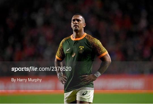 Munster v South Africa Select XV