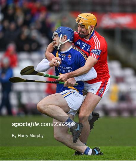 St Thomas v Loughrea - Galway County Senior Hurling Championship Final