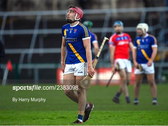 St Thomas v Loughrea - Galway County Senior Hurling Championship Final