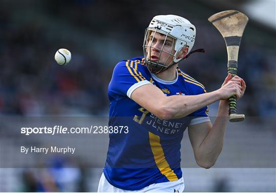 St Thomas v Loughrea - Galway County Senior Hurling Championship Final St Thomas v Loughrea - Galway County Senior Hurling Championship Final