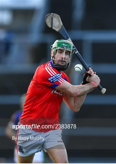 St Thomas v Loughrea - Galway County Senior Hurling Championship Final St Thomas v Loughrea - Galway County Senior Hurling Championship Final