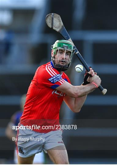 St Thomas v Loughrea - Galway County Senior Hurling Championship Final