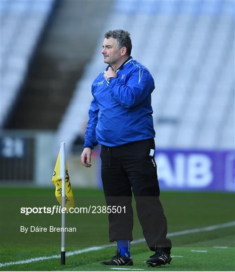 Naas v Shamrocks Ballyhale - AIB Leinster GAA Hurling Senior Club Championship Semi-Final