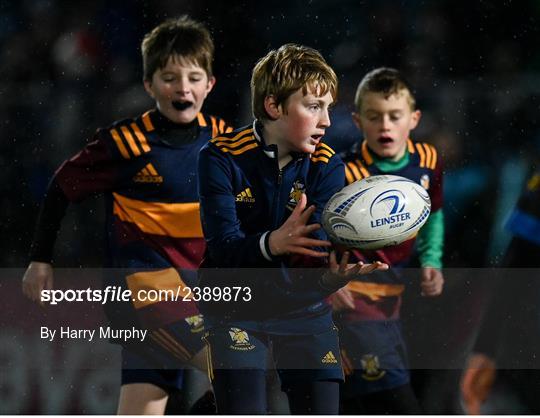 Bank of Ireland Half-time Minis at Leinster v Ulster - United Rugby Championship