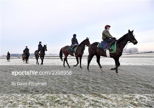 Horses on the gallops at the Curragh