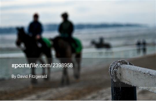 Horses on the gallops at the Curragh