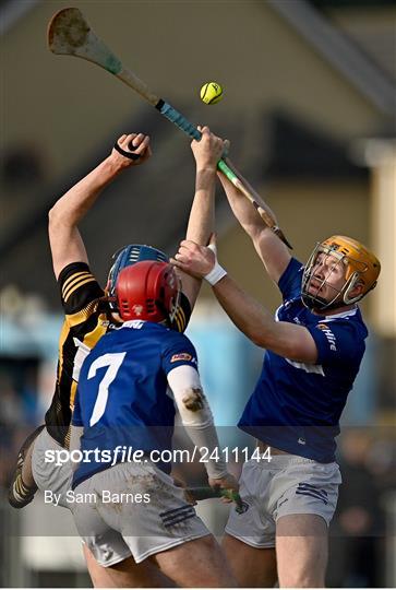 Laois v Kilkenny - Walsh Cup Group 2 Round 2