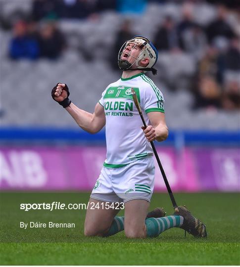 Shamrocks Ballyhale v Dunloy Cuchullains - AIB GAA Hurling All-Ireland Senior Club Championship Final Shamrocks Ballyhale v Dunloy Cuchullains - AIB GAA Hurling All-Ireland Senior Club Championship Final