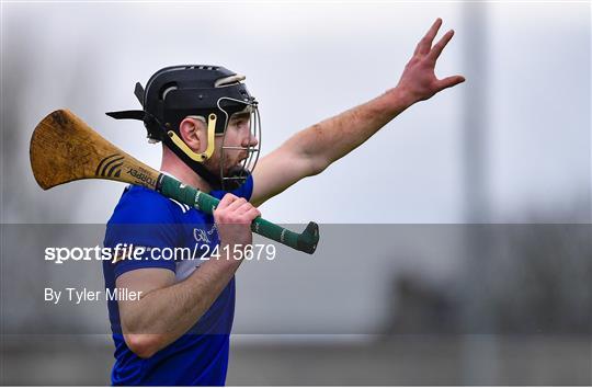 Offaly v Laois - Walsh Cup Group 2 Round 3