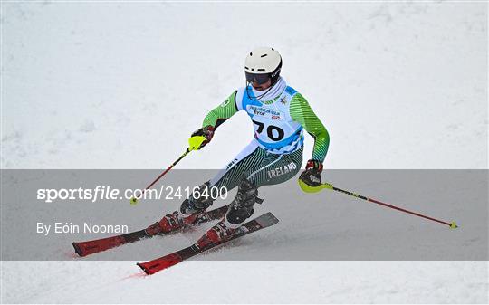 2023 Winter European Youth Olympic Festival 2023 Winter European Youth Olympic Festival