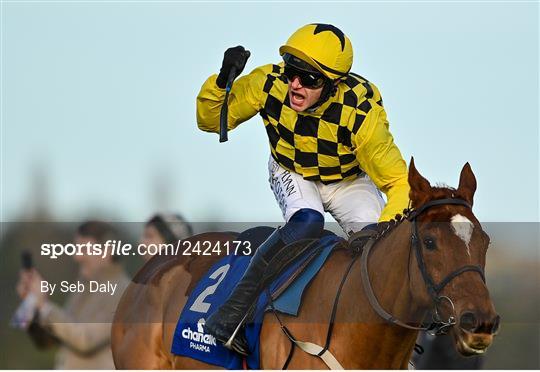 Dublin Racing Festival - Day Two