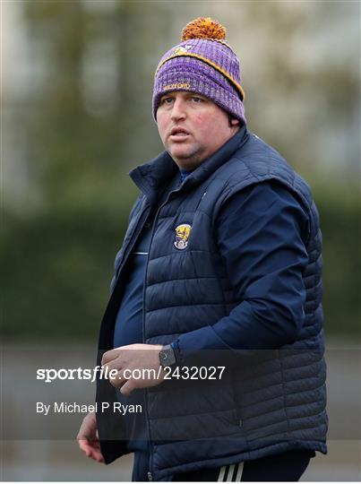 Westmeath v Wexford - Allianz Hurling League Division 1 Group A