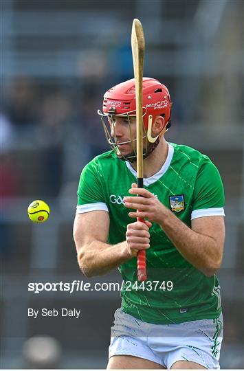 Galway v Limerick - Allianz Hurling League Division 1 Group A
