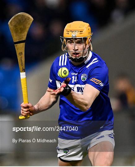 Laois v Waterford - Allianz Hurling League Division 1 Group B