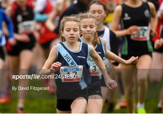123.ie All-Ireland Schools Cross Country Championships